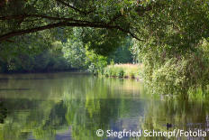 Nitrat-Stickstoff im Abwasser