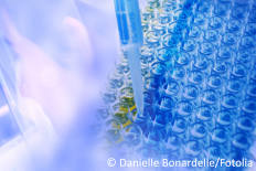 Ammonium Test für Abwasser