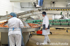 Fettabscheider in der Metzgerei
